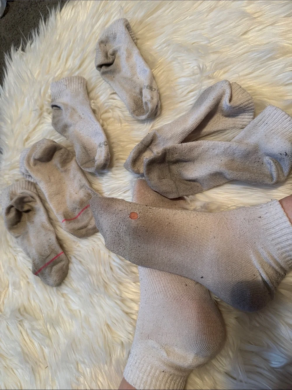 Used Low-Cut Athletic Socks - Light Gray (6 Pack)